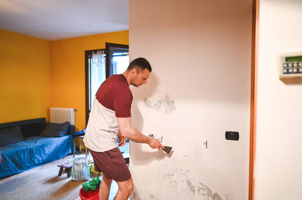 Best Commercial Mold Removal  in North Wantagh, NY